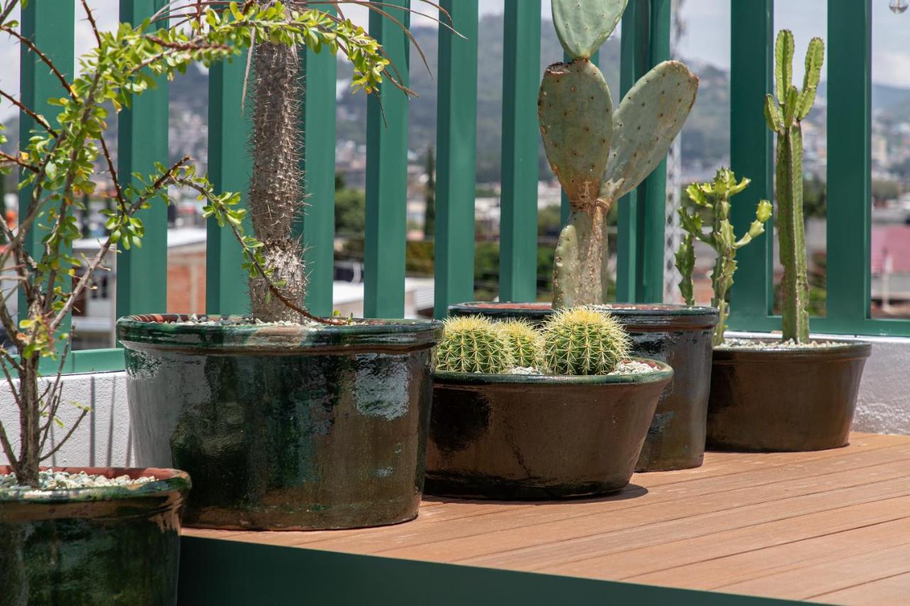 Holt - Villa Noria - La Casa Del Barro Verde Oaxaca المظهر الخارجي الصورة